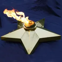 Звезда Ø 1100 - горелка ГВД 379 10 89 00 ПС (1636) в Тюмени